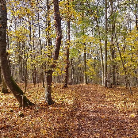 Gemuetliche Ferienwohnung Am Ortsrand Kreuzwertheim Bagian luar foto