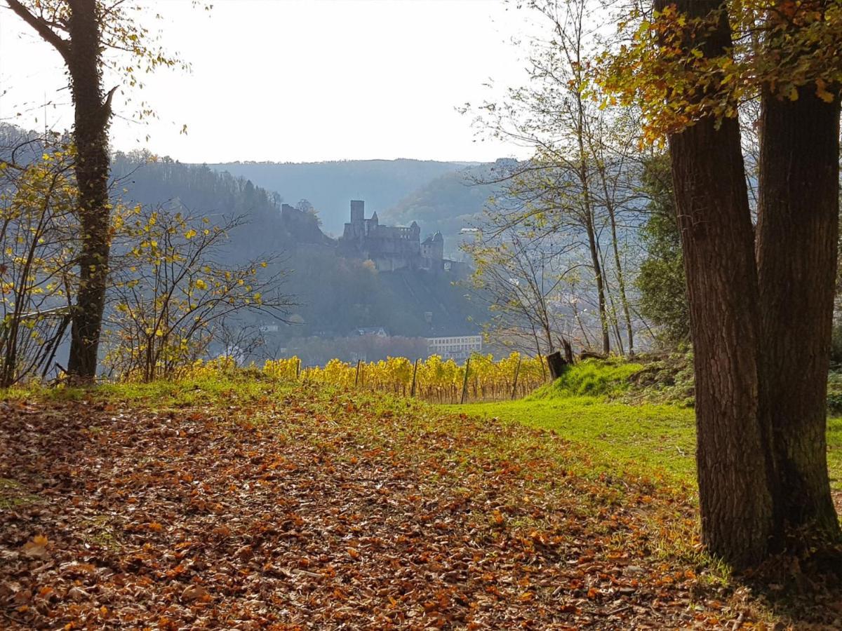 Gemuetliche Ferienwohnung Am Ortsrand Kreuzwertheim Bagian luar foto