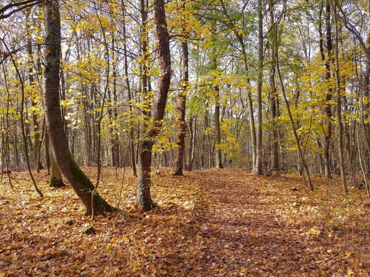 Gemuetliche Ferienwohnung Am Ortsrand Kreuzwertheim Bagian luar foto